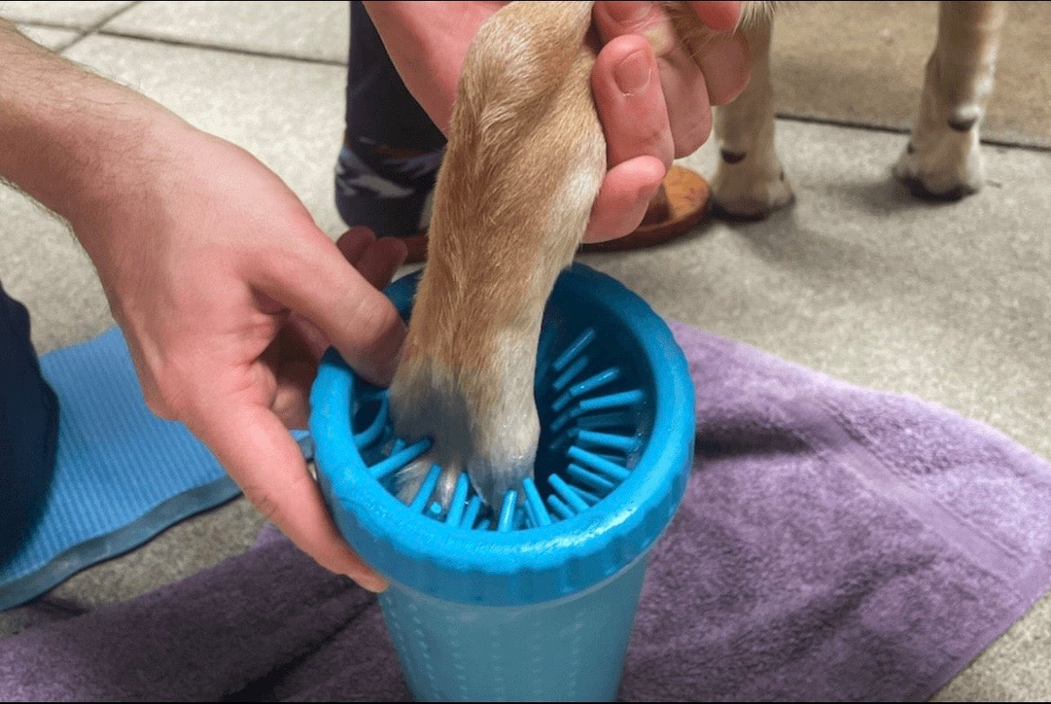 Nettoyeur de Pattes Premium 🐾