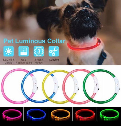 Collier LED Lumineux pour Chien 🌟